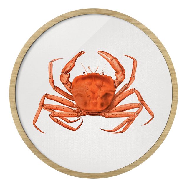 Rundes Gerahmtes Bild - Vintage Illustration Rote Krabbe