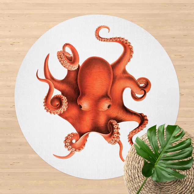 Aussen Teppich Vintage Illustration Roter Oktopus