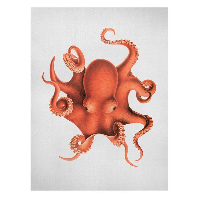Leinwandbild - Vintage Illustration Roter Oktopus - Hochformat 3:4