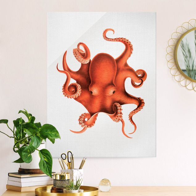 Magnettafel Glas Vintage Illustration Roter Oktopus