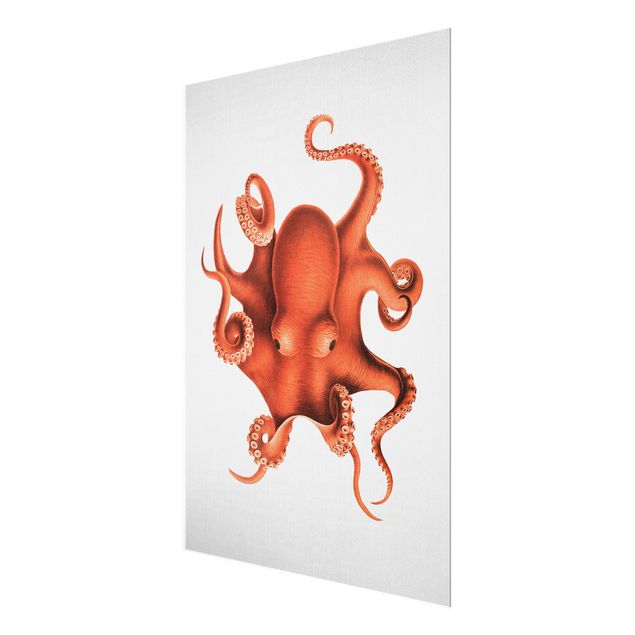 Glasbild - Vintage Illustration Roter Oktopus - Hochformat