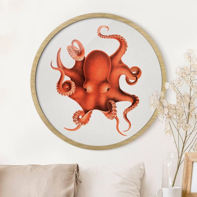Runde Bilder mit Rahmen Vintage Illustration Roter Oktopus