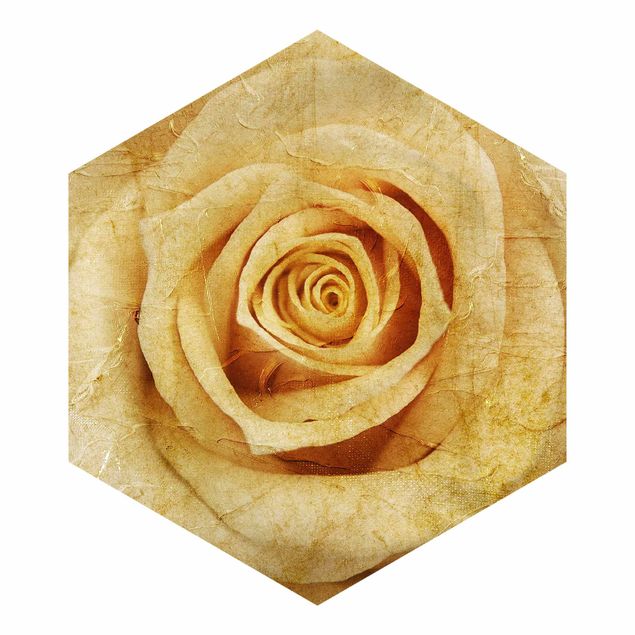 Hexagon Mustertapete selbstklebend - Vintage Rose