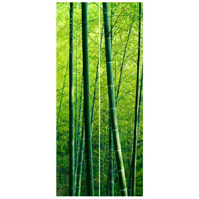 Türtapete - Bambuswald