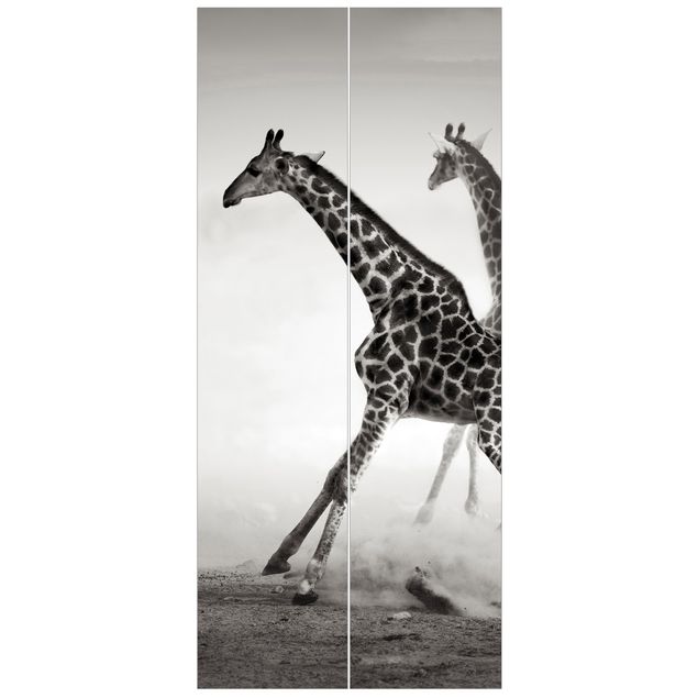 Türtapete - Giraffenjagd