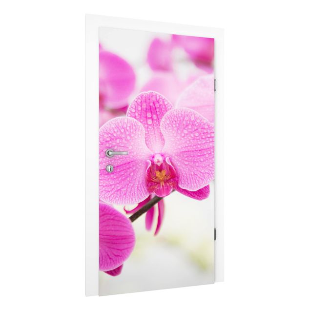 Türtapete - Nahaufnahme Orchidee