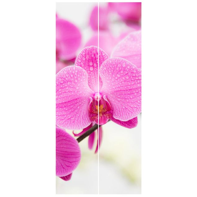 Türtapete - Nahaufnahme Orchidee