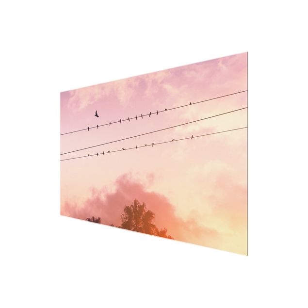 Glasbild - Vögel auf der Stromleitung - Querformat 3:2
