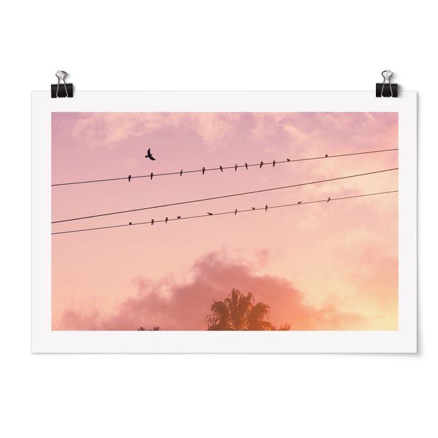 Poster - Vögel auf der Stromleitung - Querformat 3:2