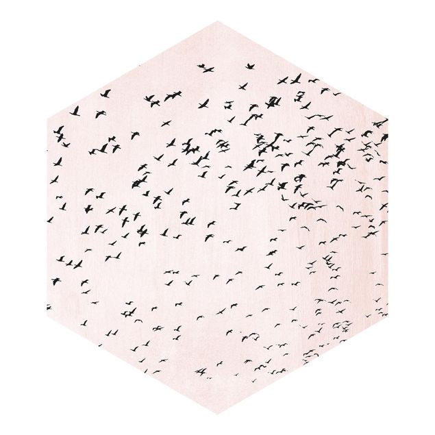 Hexagon Mustertapete selbstklebend - Vogelschwarm im Sonnenuntergang