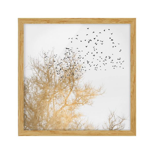 Bild mit Rahmen - Vogelschwarm vor goldenem Baum - Quadrat