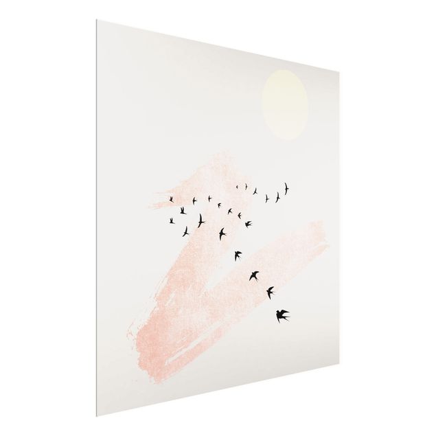 Glasbild - Vogelschwarm vor Rosa Himmel - Quadrat 1:1