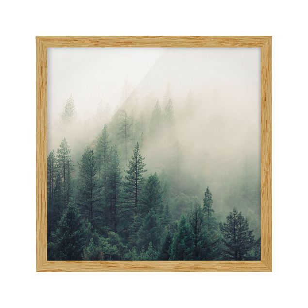 Bild mit Rahmen - Wald im Nebel Erwachen - Quadrat
