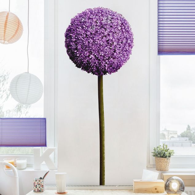 Wandtattoo Blumen Allium Kugel-Blüten 1er Set