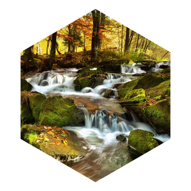 Hexagon Mustertapete selbstklebend - Wasserfall herbstlicher Wald