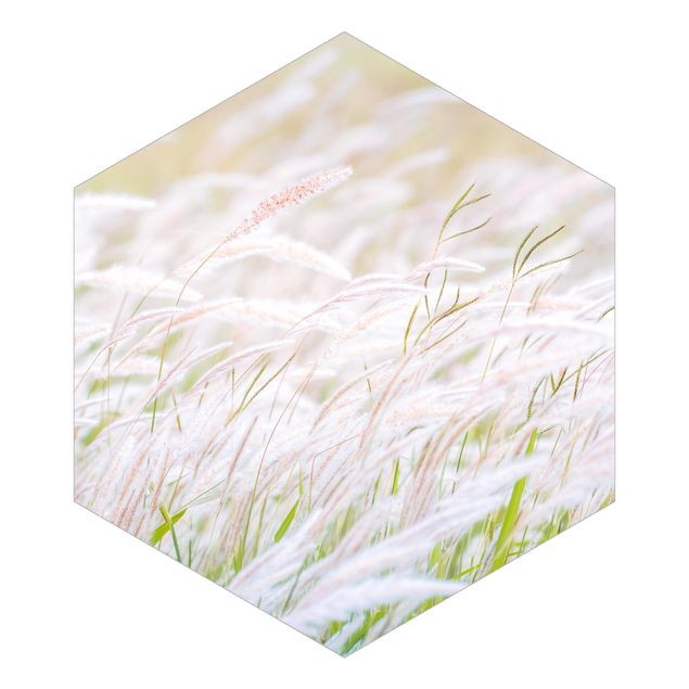 Hexagon Mustertapete selbstklebend - Weiche Gräser