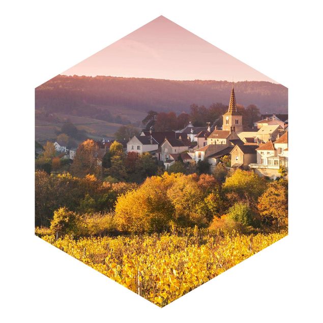 Hexagon Fototapete selbstklebend - Weinberge in Frankreich