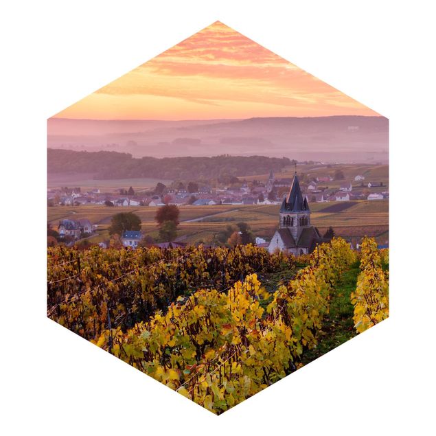 Hexagon Fototapete selbstklebend - Weinplantage bei Sonnenuntergang