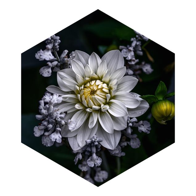Hexagon Mustertapete selbstklebend - Weiße Dahlie