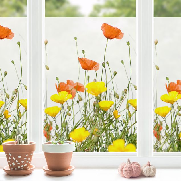 Fensterfolie - Sichtschutz - Wild Flowers - Fensterbilder