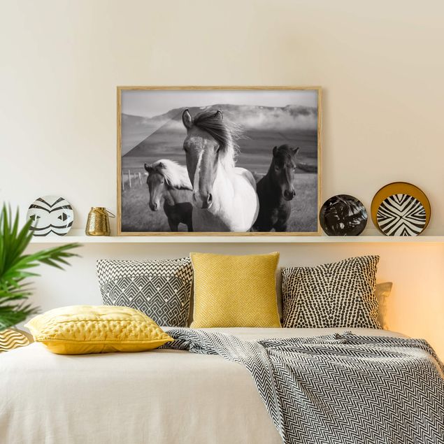 Bild mit Rahmen - Wildpferde Schwarz-Weiß - Querformat