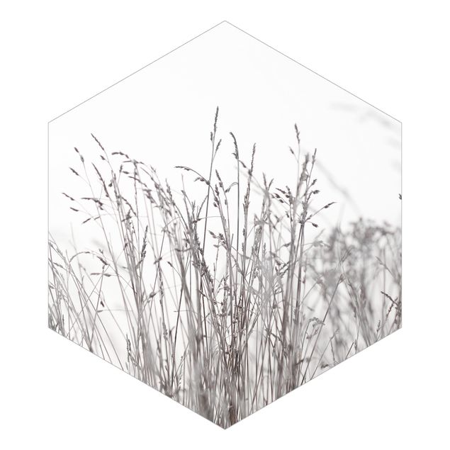 Hexagon Mustertapete selbstklebend - Winterliche Gräser