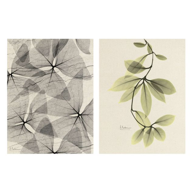 2-teiliges Leinwandbild - X-Ray - Dreiecksklee und Porzellanblumenblätter