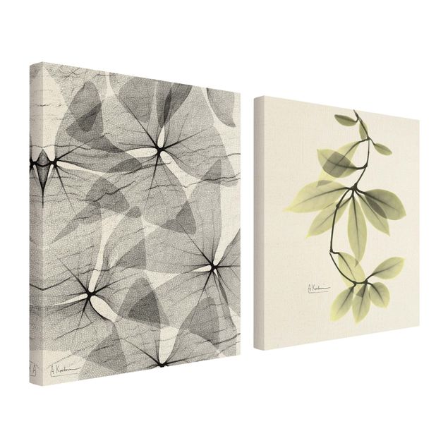 2-teiliges Leinwandbild - X-Ray - Dreiecksklee und Porzellanblumenblätter
