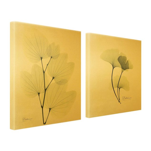 Leinwandbild 2-teilig - X-Ray - Orchideenbaumblätter & Ginko