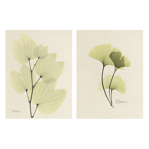 2-teiliges Leinwandbild - X-Ray - Orchideenbaumblätter & Ginko