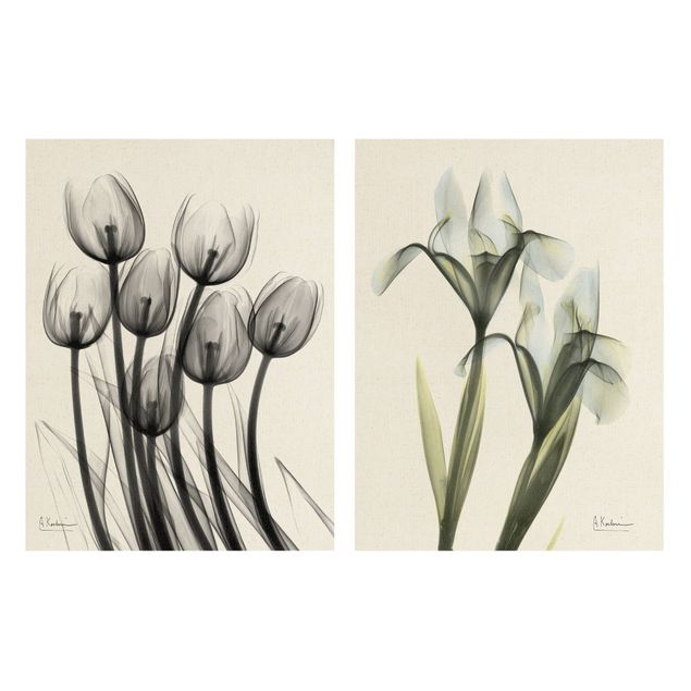 2-teiliges Leinwandbild - X-Ray - Tulpen & Schwertlilie