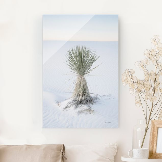 Magnettafel Glas Yucca Palme in weißem Sand