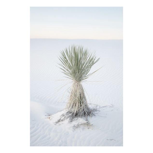 Glasbild - Yucca Palme in weißem Sand - Hochformat