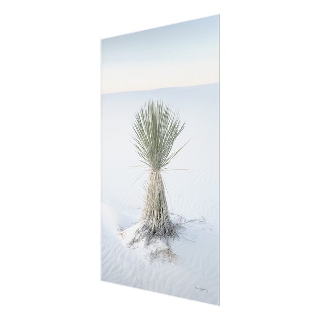 Glasbild - Yucca Palme in weißem Sand - Hochformat