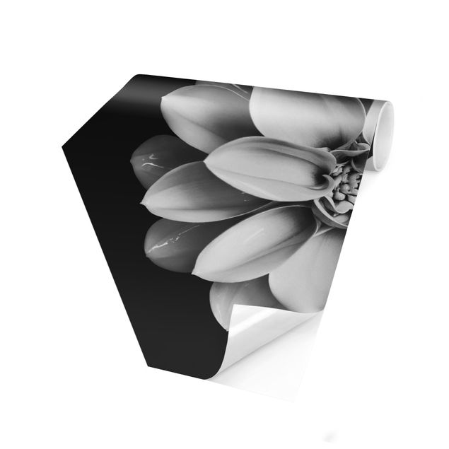 Hexagon Mustertapete selbstklebend - Zarte Dahlie in Schwarz-Weiß