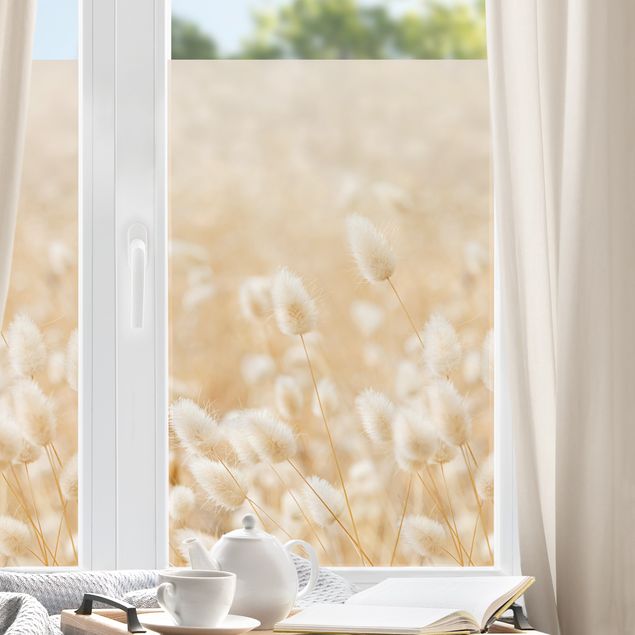 Fensterfolie - Sichtschutz - Zarte Gräser - Fensterbilder