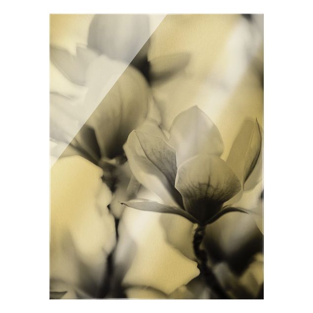 Glasbild - Zarte Magnolienblüten II - Hochformat 3:4
