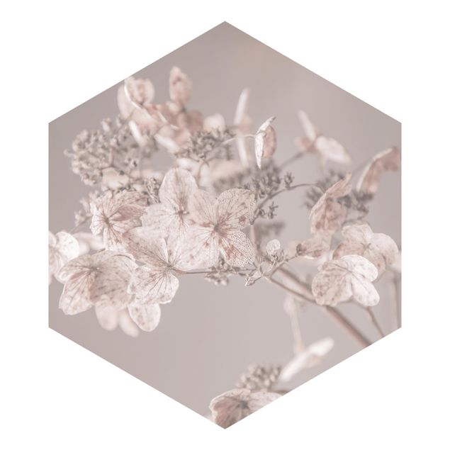 Hexagon Mustertapete selbstklebend - Zarte weiße Hortensie
