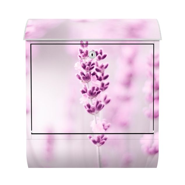 Briefkasten - Zartvioletter Lavendel