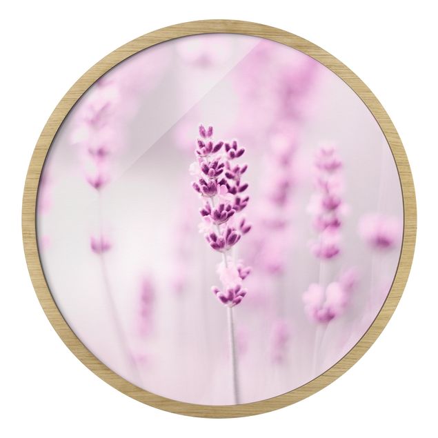 Rundes Gerahmtes Bild - Zartvioletter Lavendel