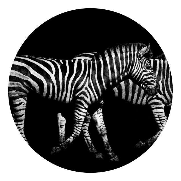 Runde Tapete selbstklebend - Zebra vor Schwarz