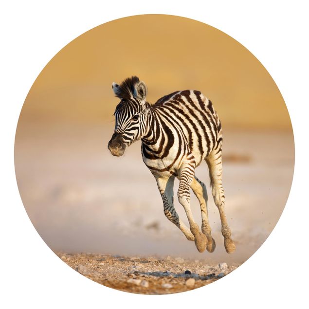 Runde Tapete selbstklebend - Zebrafohlen