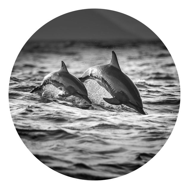 Runde Tapete selbstklebend - Zwei springende Delfine