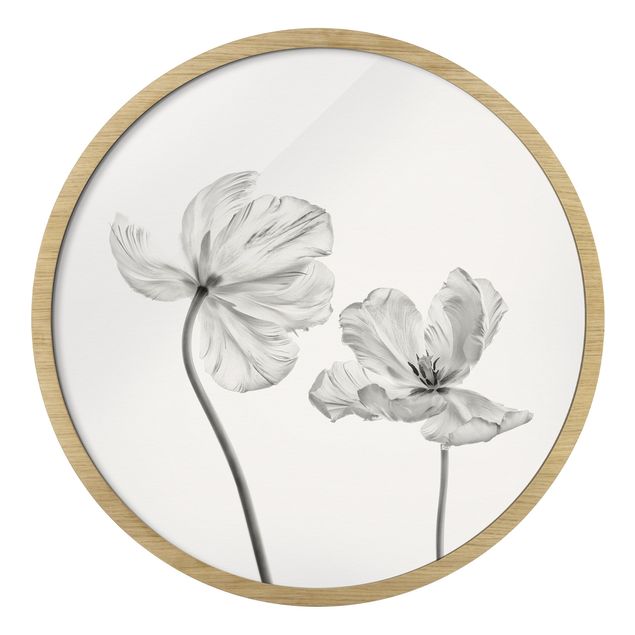 Rundes Gerahmtes Bild - Zwei zarte weiße Tulpen